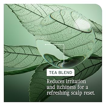 Sérénité Green Tea Shea Lotion